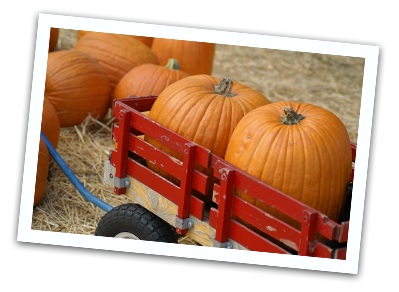Pumpkins in a Wagon